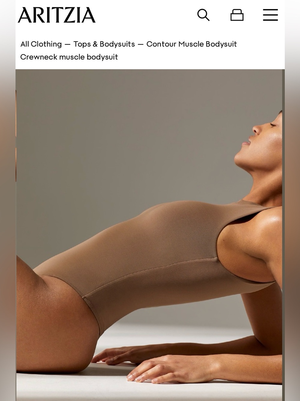 Aritzia Babaton Crewneck Contour Muscle Bodysuit — Shitake